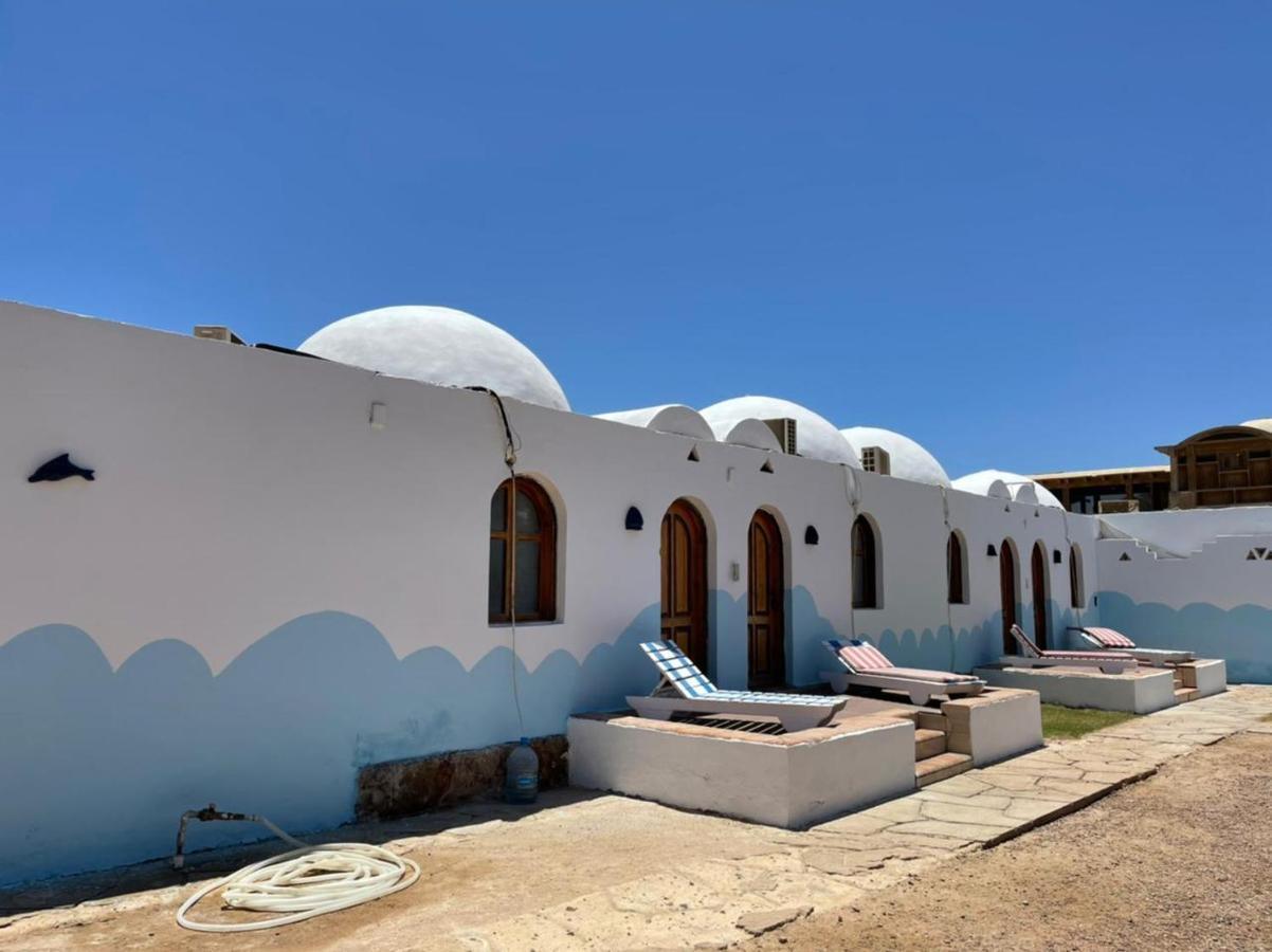 فندق Dolphin Camp دهب المظهر الخارجي الصورة