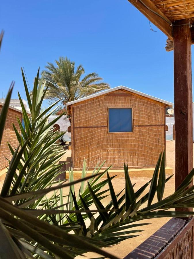 فندق Dolphin Camp دهب المظهر الخارجي الصورة