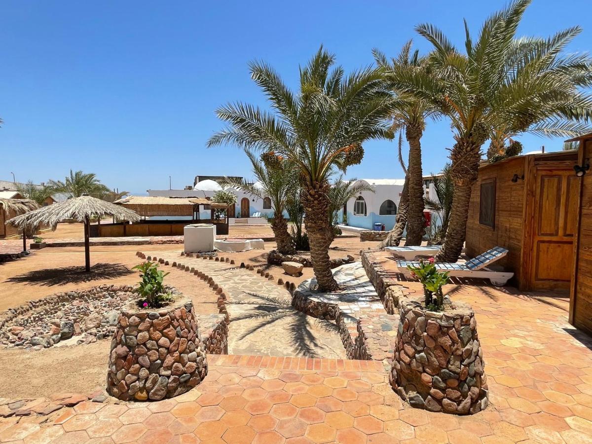 فندق Dolphin Camp دهب المظهر الخارجي الصورة