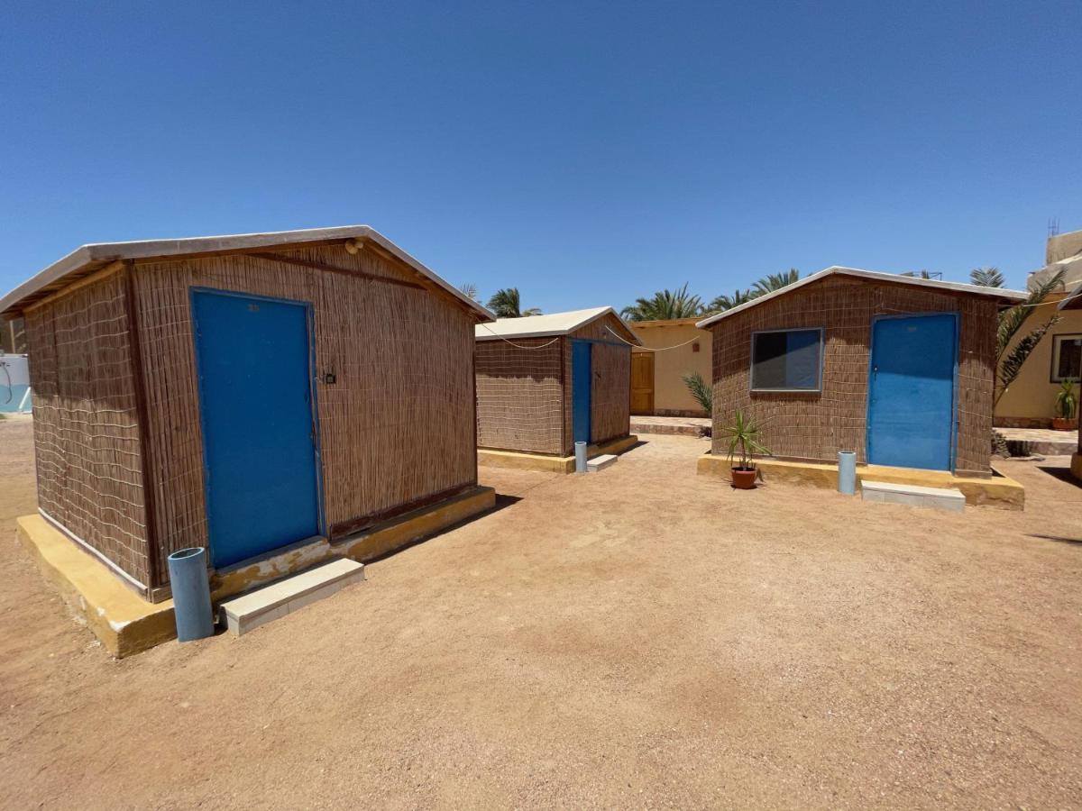فندق Dolphin Camp دهب المظهر الخارجي الصورة