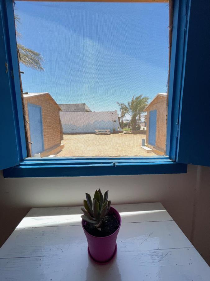 فندق Dolphin Camp دهب المظهر الخارجي الصورة