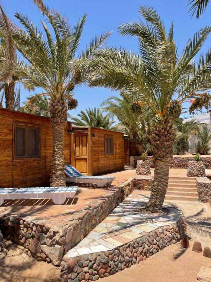 فندق Dolphin Camp دهب المظهر الخارجي الصورة
