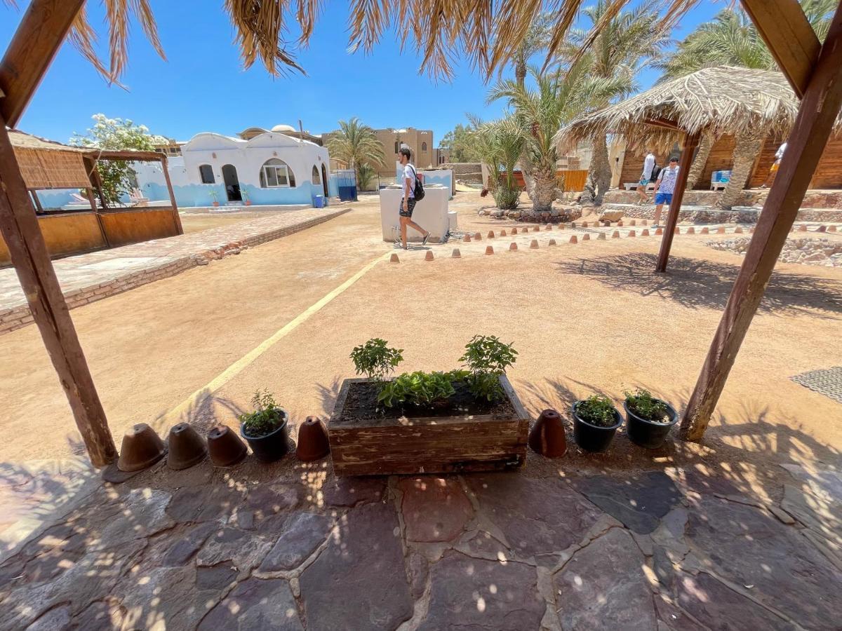 فندق Dolphin Camp دهب المظهر الخارجي الصورة