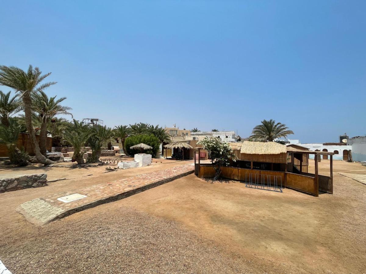فندق Dolphin Camp دهب المظهر الخارجي الصورة