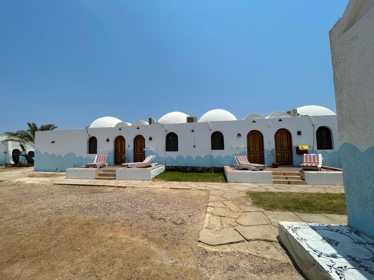 فندق Dolphin Camp دهب المظهر الخارجي الصورة