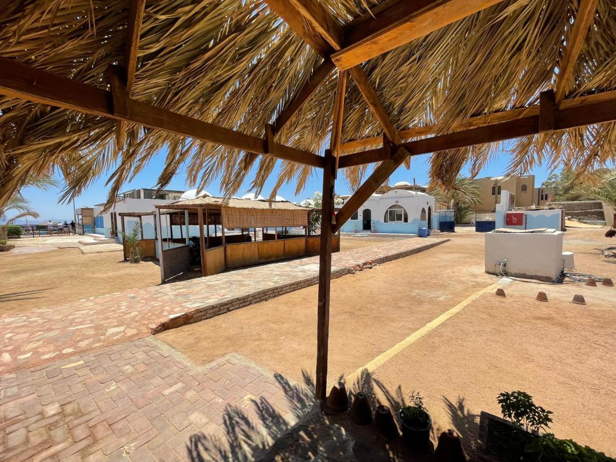 فندق Dolphin Camp دهب المظهر الخارجي الصورة
