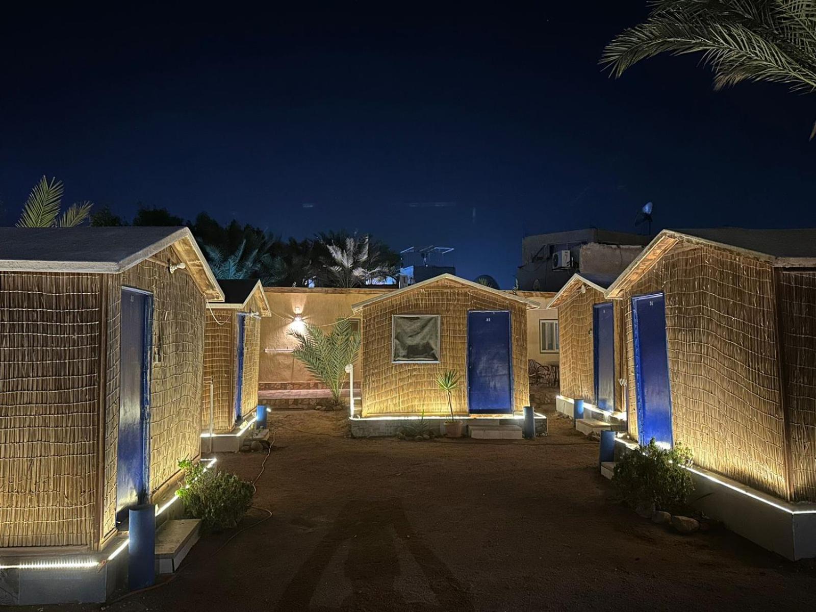 فندق Dolphin Camp دهب المظهر الخارجي الصورة