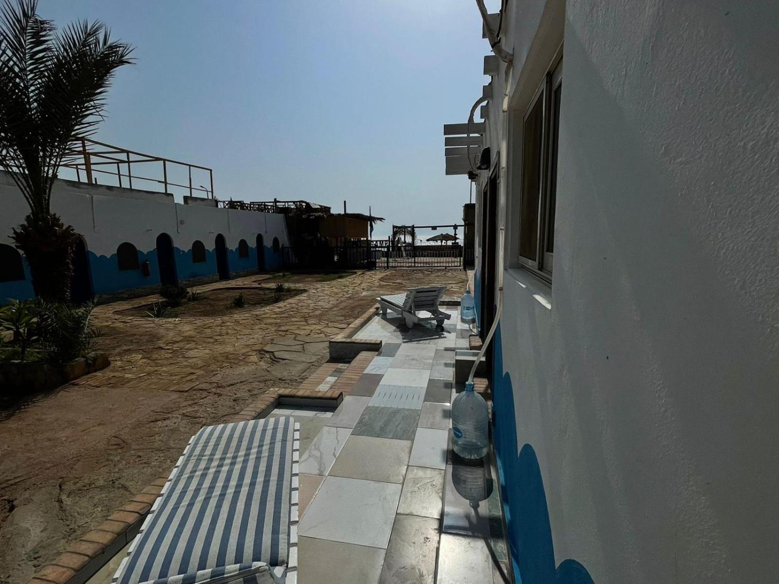 فندق Dolphin Camp دهب المظهر الخارجي الصورة