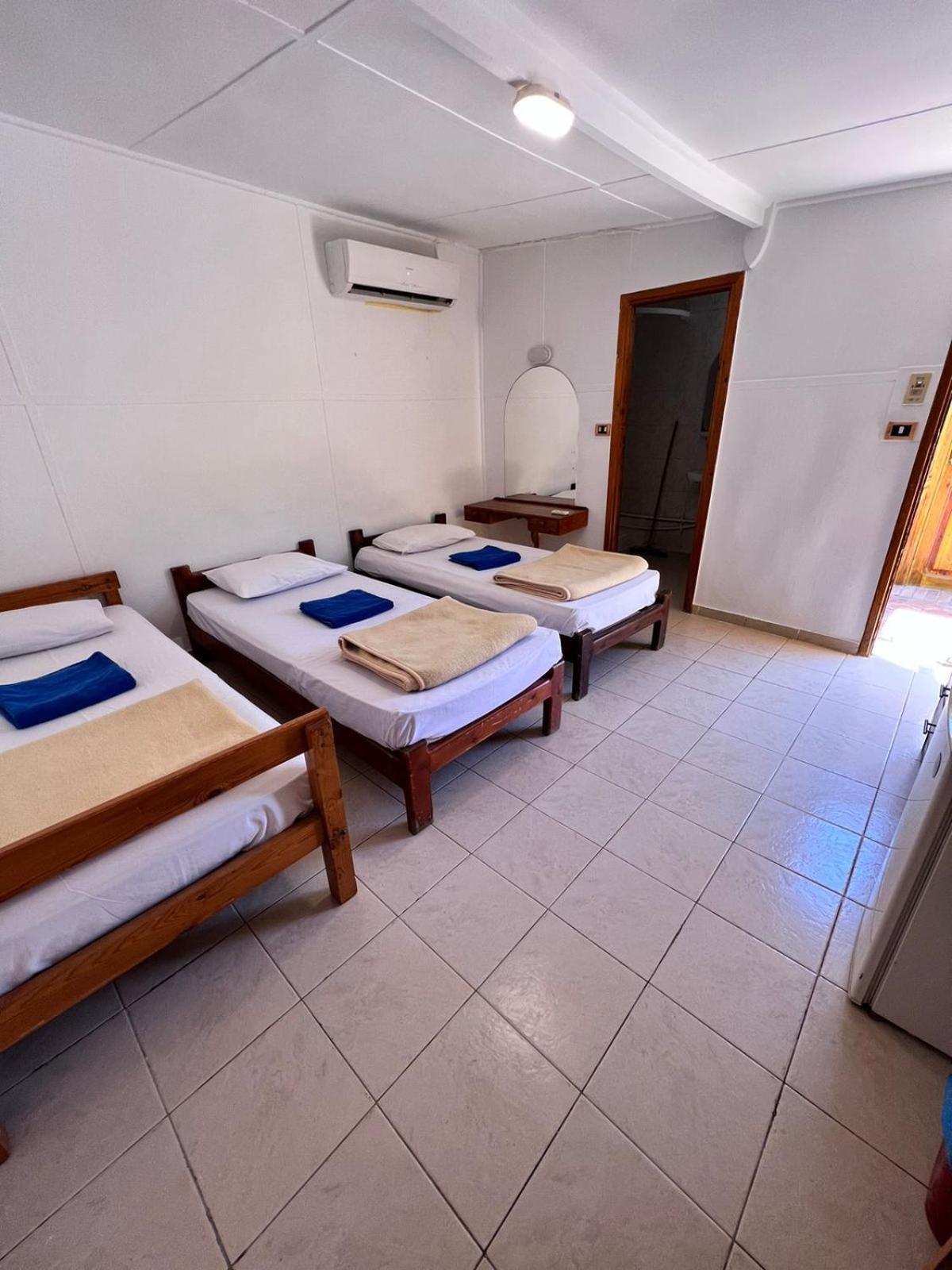 فندق Dolphin Camp دهب المظهر الخارجي الصورة